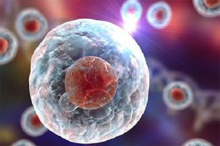 Babio เปิดตัวสารละลาย Giemsa Stain B ที่มีคุณภาพสูงสำหรับการวินิจฉัยทางไซโตจีเนติกและโลหิตวิทยาขั้นสูง