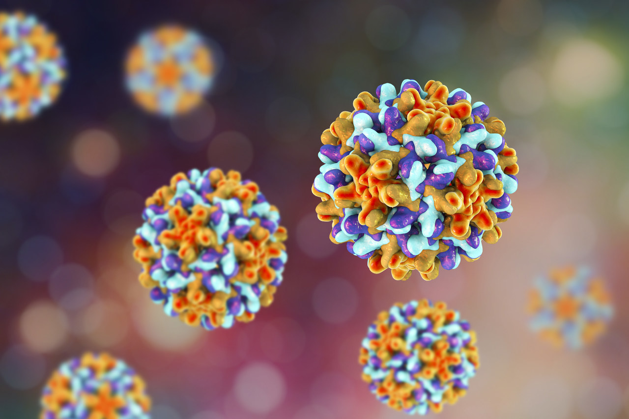 Babio เปิดตัวชุดตรวจจับแอนติเจน Adenovirus ที่มีประสิทธิภาพสูงเพื่อตอบสนองความต้องการการวินิจฉัยทั่วโลก