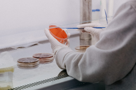 Babio แนะนำมันฝรั่ง Dextrose agar (USP) สำหรับการทดสอบแม่พิมพ์และยีสต์ที่เชื่อถือได้