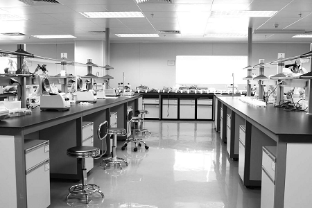 Babio Salmonella Shigella Agar: สื่อที่เชื่อถือได้เพื่อความปลอดภัยด้านอาหารและการวินิจฉัยทางคลินิก