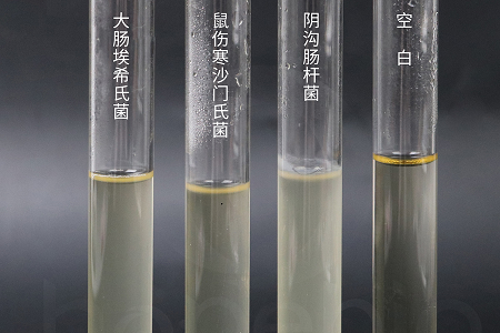 Babio Biotechnology เปิดตัวน้ำซุปบำรุงหัวใจสมองประสิทธิภาพสูงเพื่อการเพาะเลี้ยงจุลินทรีย์ที่เชื่อถือได้